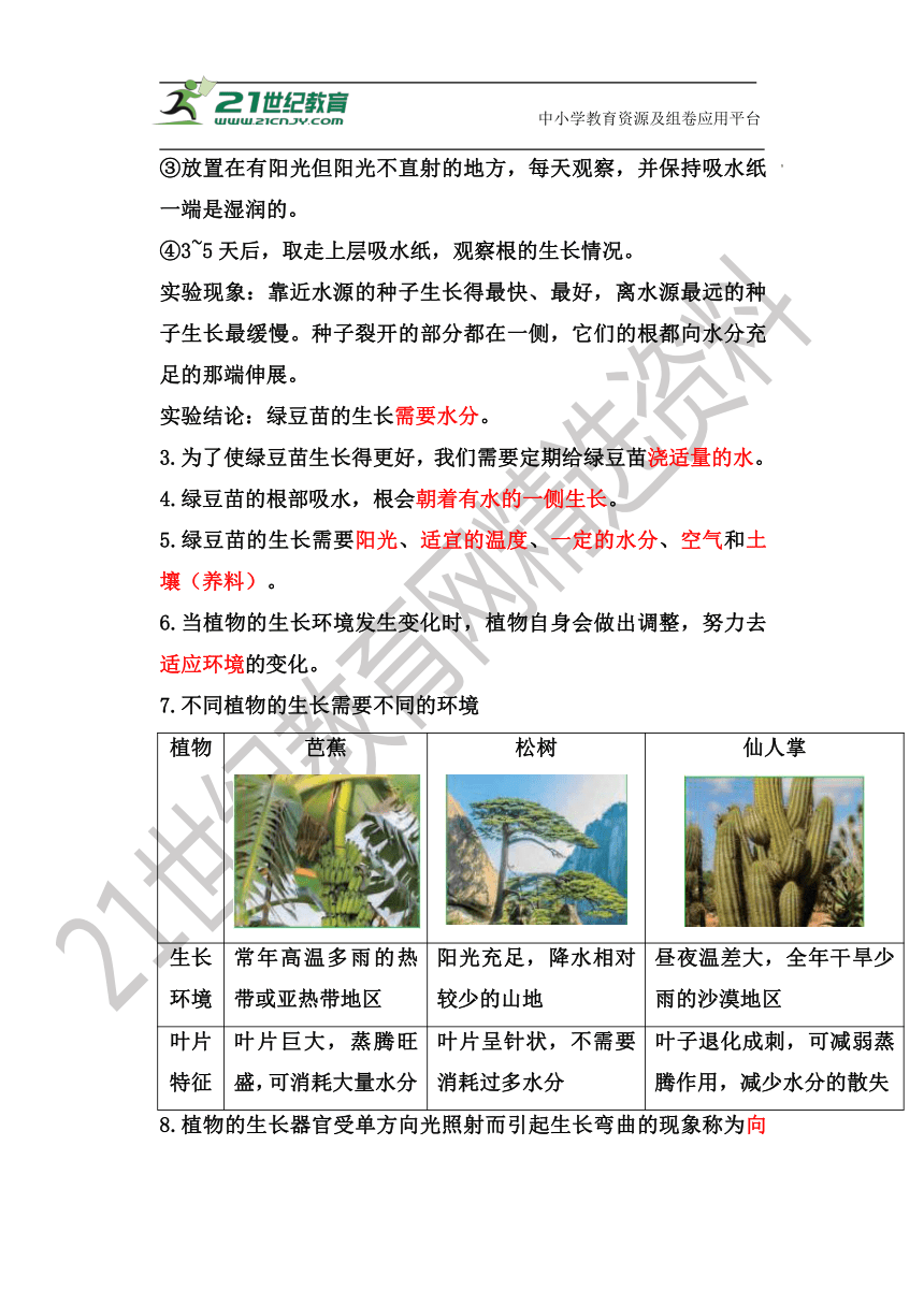 【新版 知识梳理及精典考题】五年级科学下册1.3绿豆苗的生长