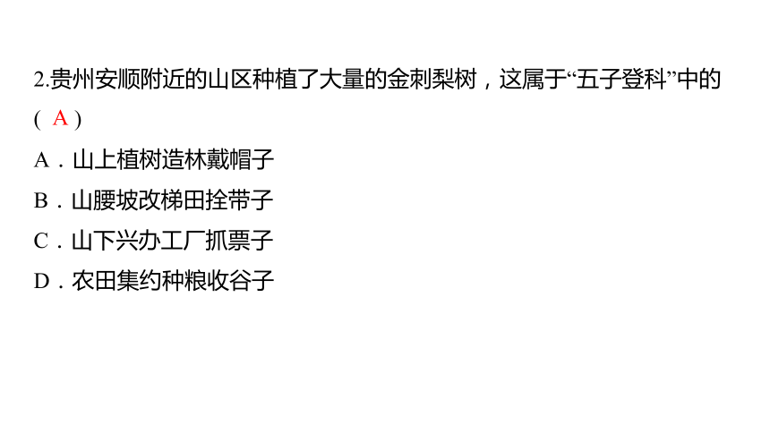 2024中考三轮复习课件 (36张PPT) 第31讲 贵州省和黄土高原