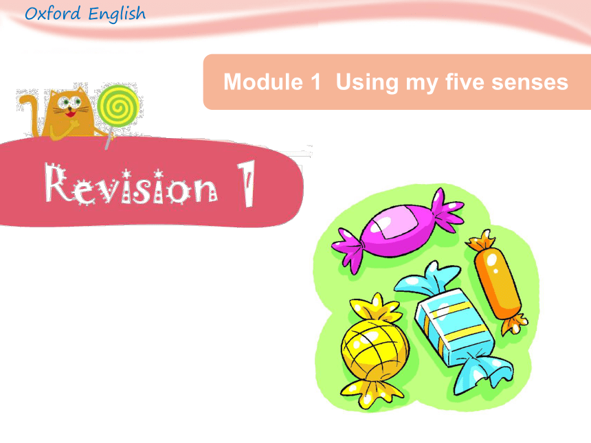 Module 1 Using my five senses  Revision 1课件（18张PPT）
