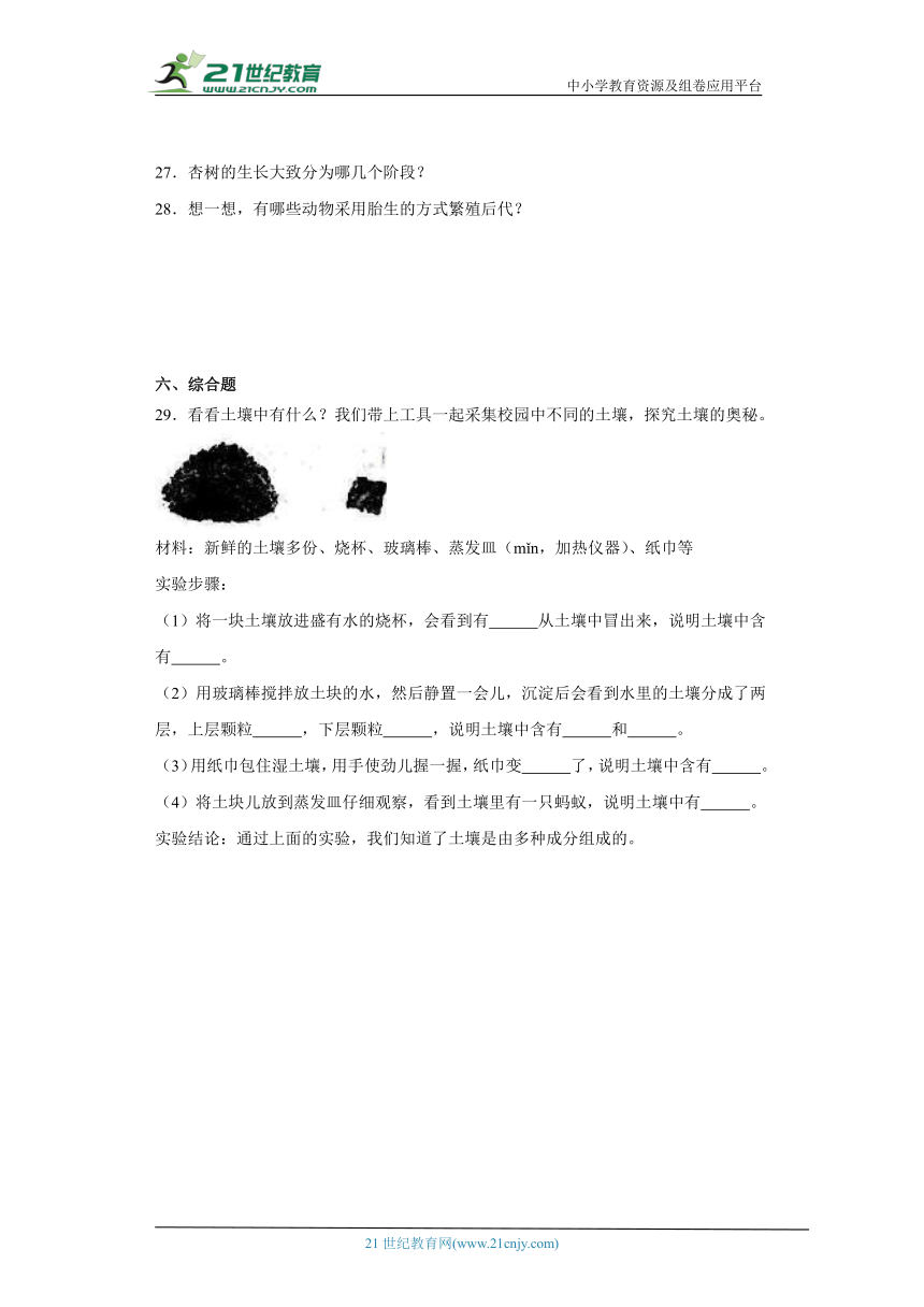 冀人版四年级下册科学期中综合训练（1-3单元）（含答案）