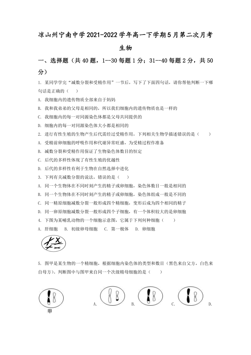 四川省凉山州宁南中学2021-2022学年高一下学期5月第二次月考生物学试题（Word版含答案）