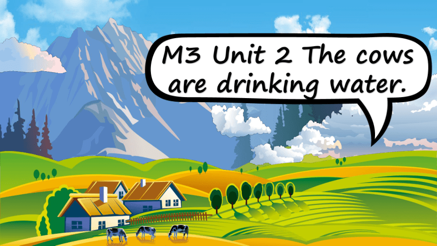 Module3 Unit2 The cows are drinking water 课件(共31张PPT)