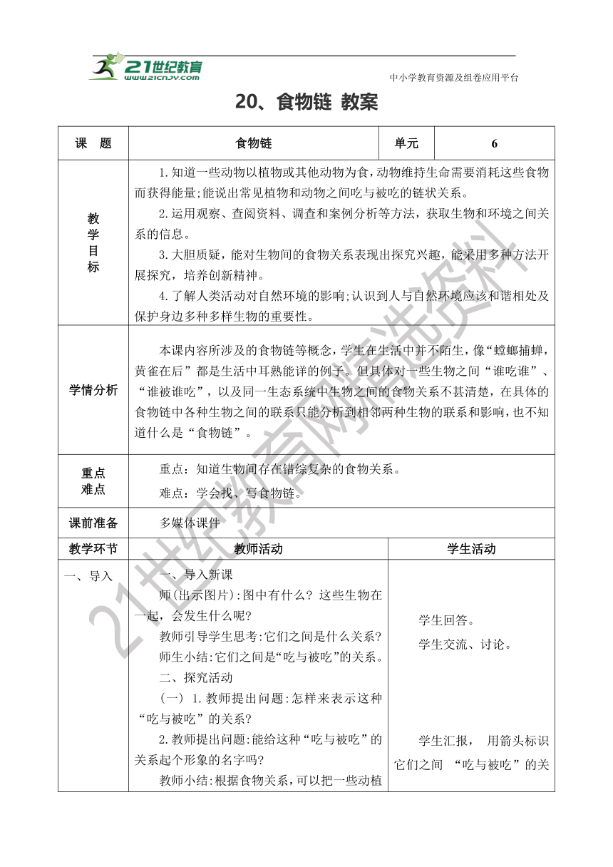 6.20 食物链 表格式教案