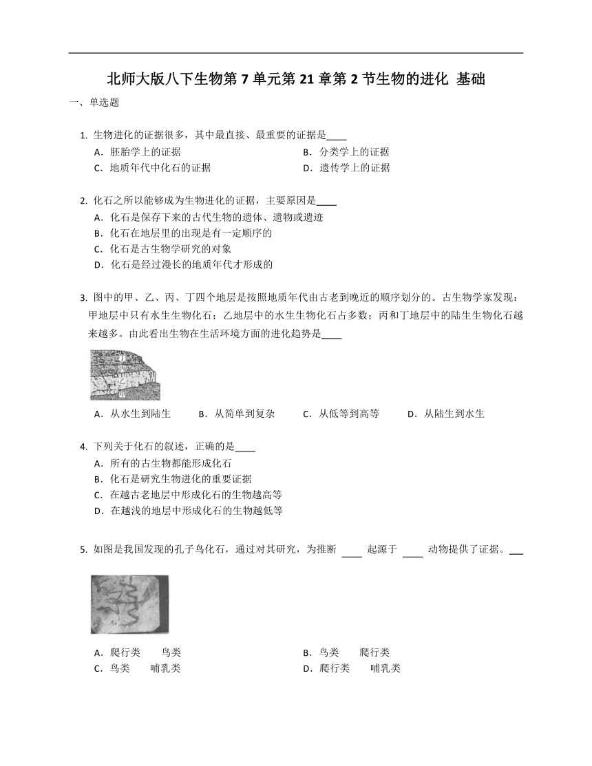 7.21.2生物的进化基础训练（含解析）北师大版八下生物