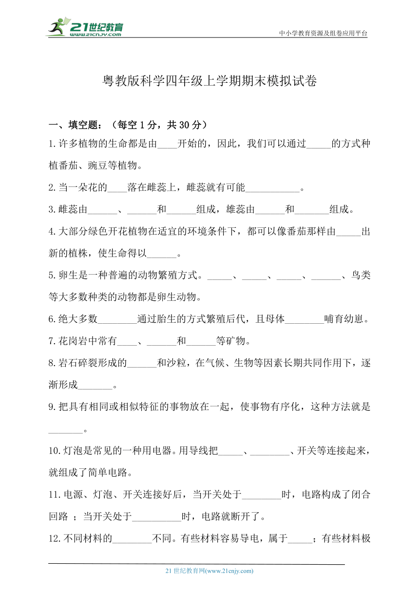 粤教版四年级科学上册期末试卷（含答案）