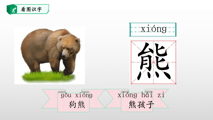 17.动物王国开大会 课件(共45张PPT)