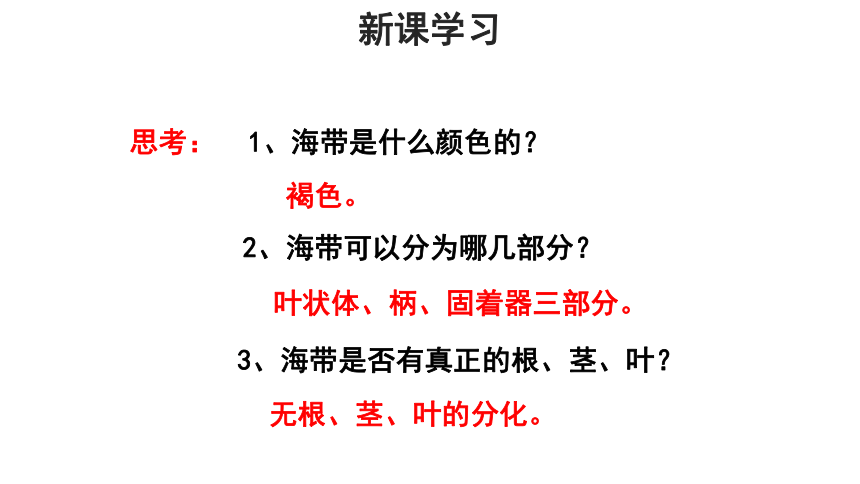 冀少版七年级上册 第三节 藻类植物 教学课件（共17张PPT）