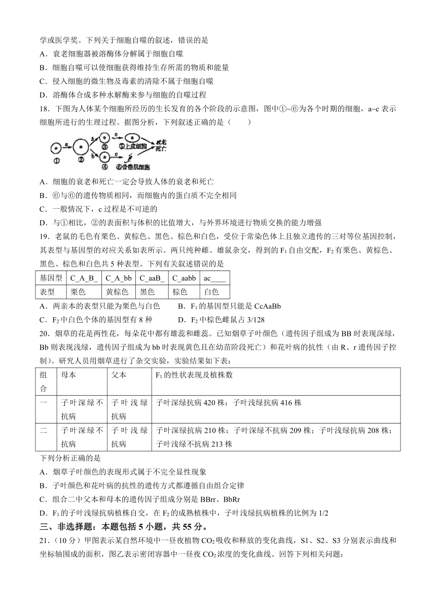 内蒙古自治区兴安盟乌兰浩特第一中学2023-2024学年高一下学期第一次月考生物学试题（含答案）