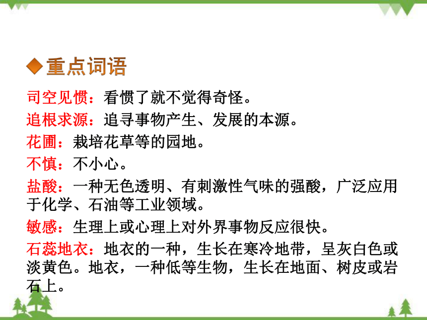 15真理诞生于一百个问号之后 课件（共31张PPT）