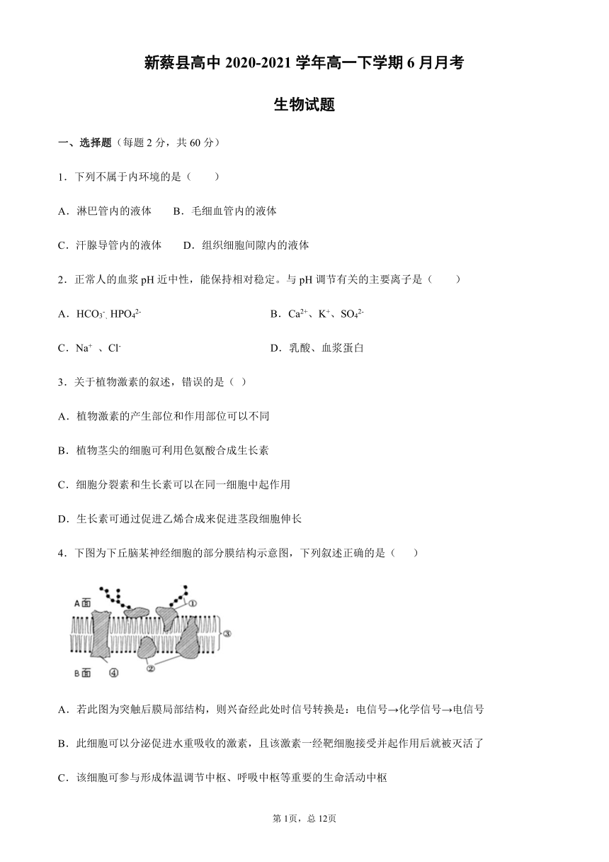 河南省驻马店市新蔡县2020-2021学年高一下学期6月月考生物试题        含答案