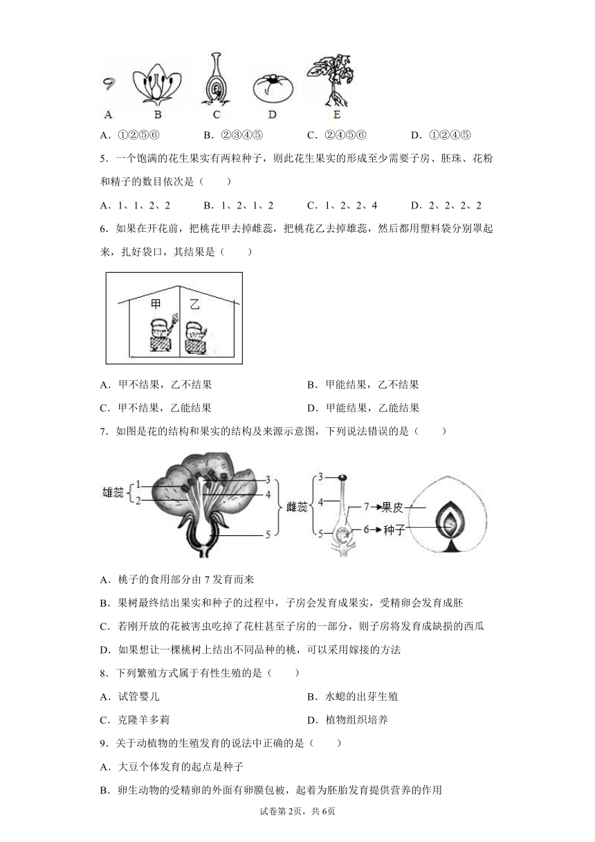 1.5 植物生殖方式的多样性 同步练习（含解析）