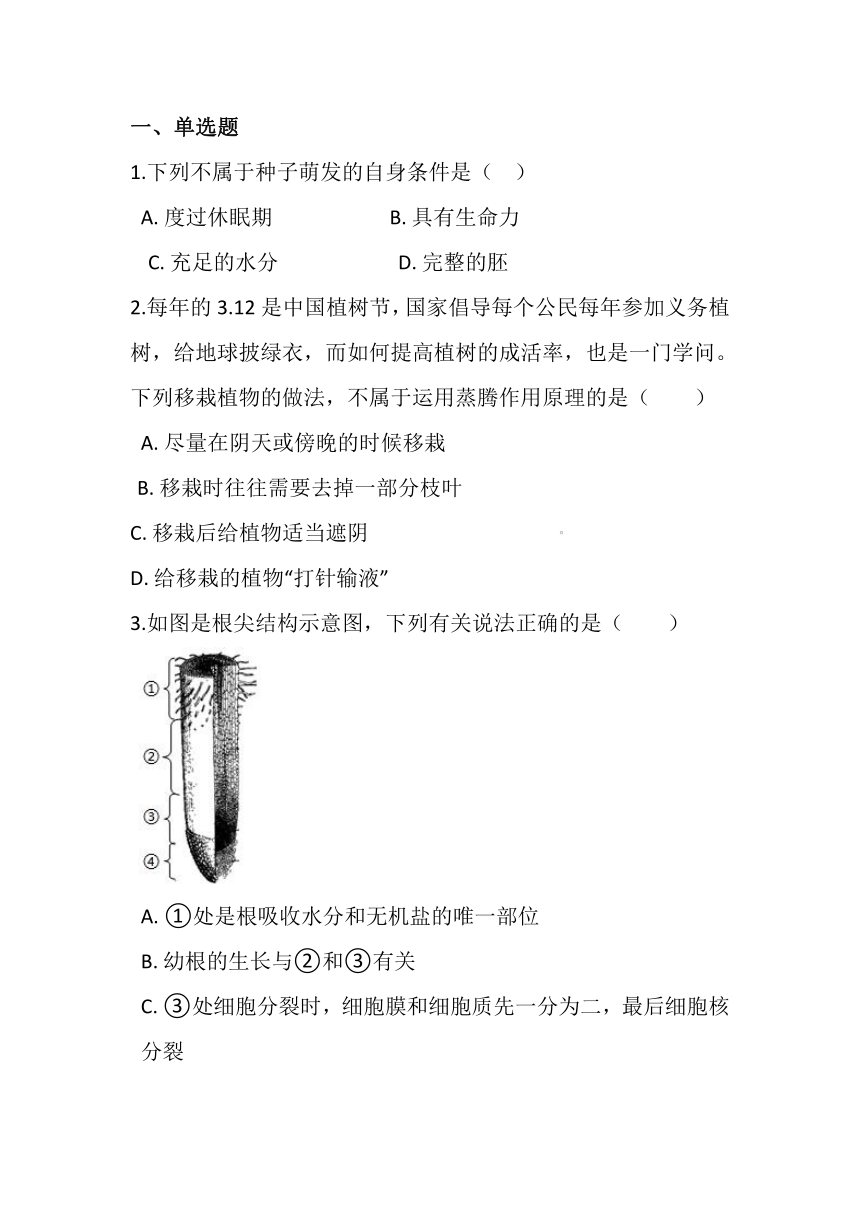 人教版七年级生物上册  第三单元 生物圈中的绿色植物  同步练习题(word版 无答案)