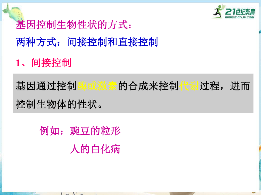 4.2 基因对性状的控制（共28张PPT）