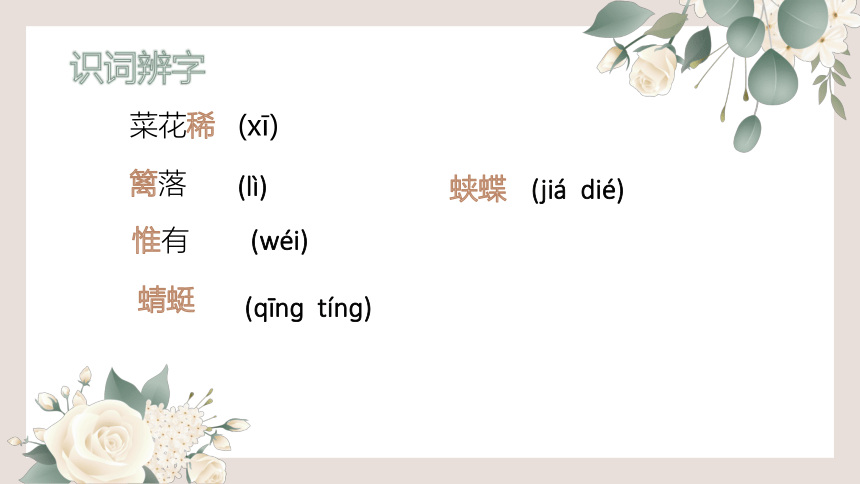 语文四年级下册1古诗词三首《 四时田园杂兴（其二十五）》  课件 (共16张PPT)