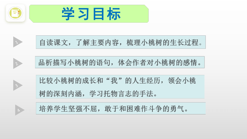 19 一颗小桃树 课件