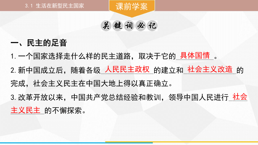 （核心素养目标）3.1 生活在新型民主国家 课件(共32张PPT) 统编版道德与法治九年级上册