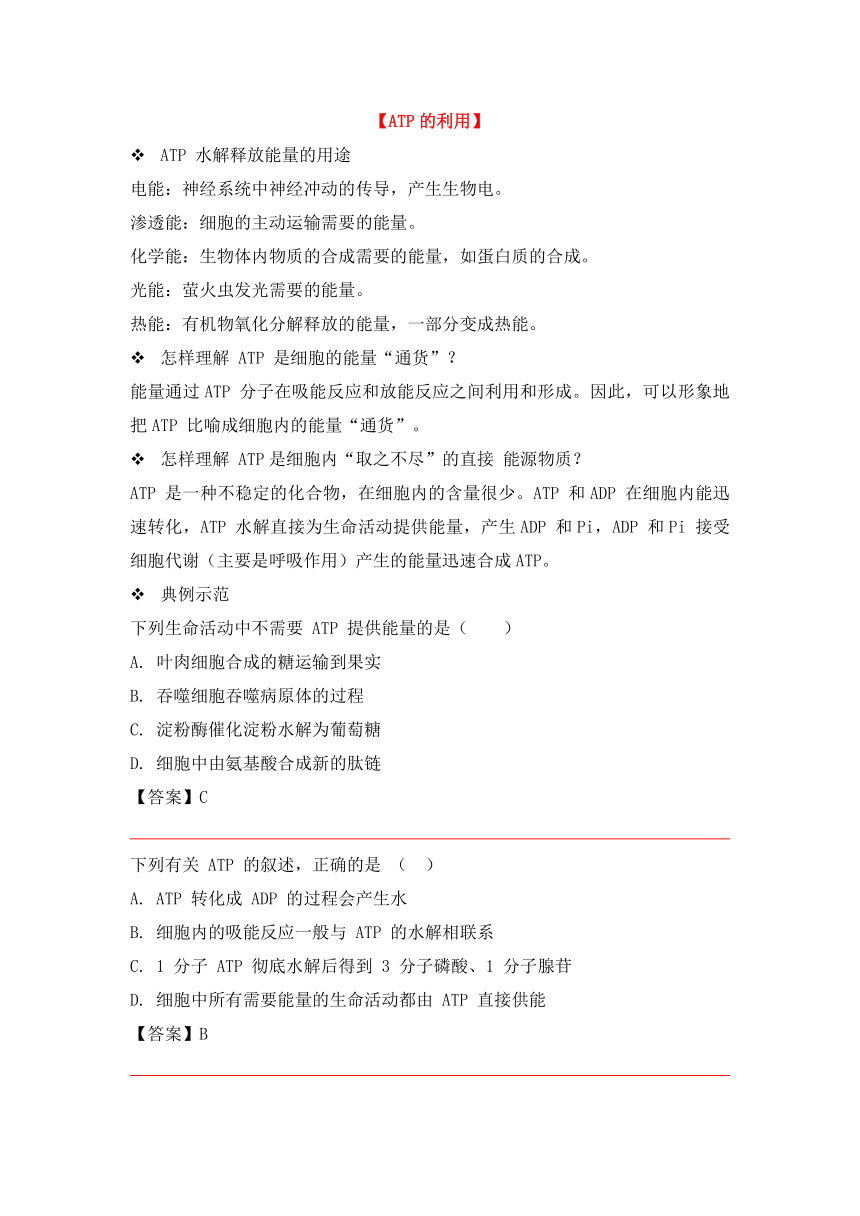 人教版（2019）必修一-《细胞的能量供应和利用》-“ATP”章节重点归纳&典例示范学案（含答案）