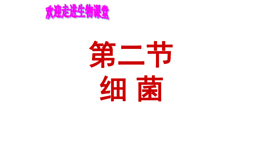 第二节 细菌 课件（27张PPT）