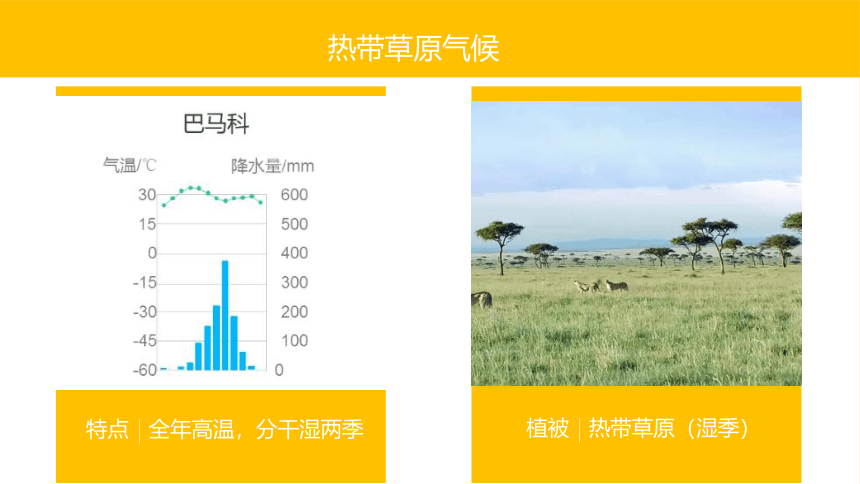 4.4世界主要气候类型   同步课件  初中地理湘教版七年级上册2022-2023学年（共36张PPT）