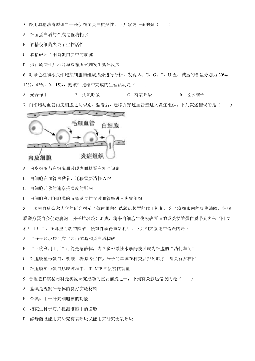 江西省吉水县2020-2021学年高一下学期期中考试生物试题 Word版含解析