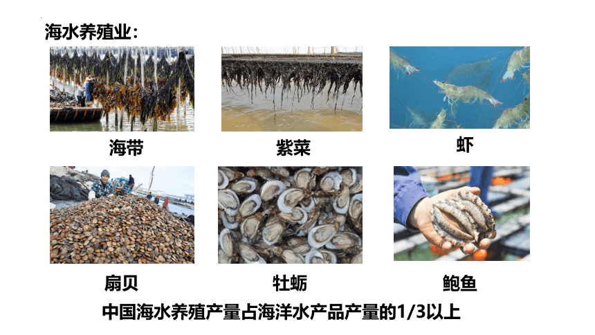 3.4中国的海洋资源 课件(共24张PPT内嵌视频)2022-2023学年湘教版地理八年级上册