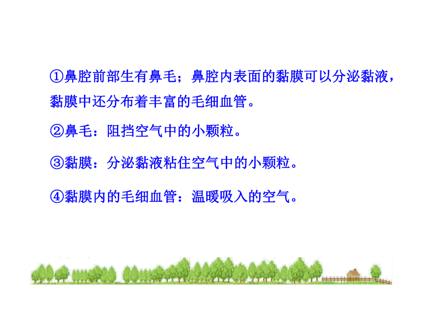 苏教版生物七年级下册 第十章 第三节  人体和外界环境的气体交换课件(共22张PPT)