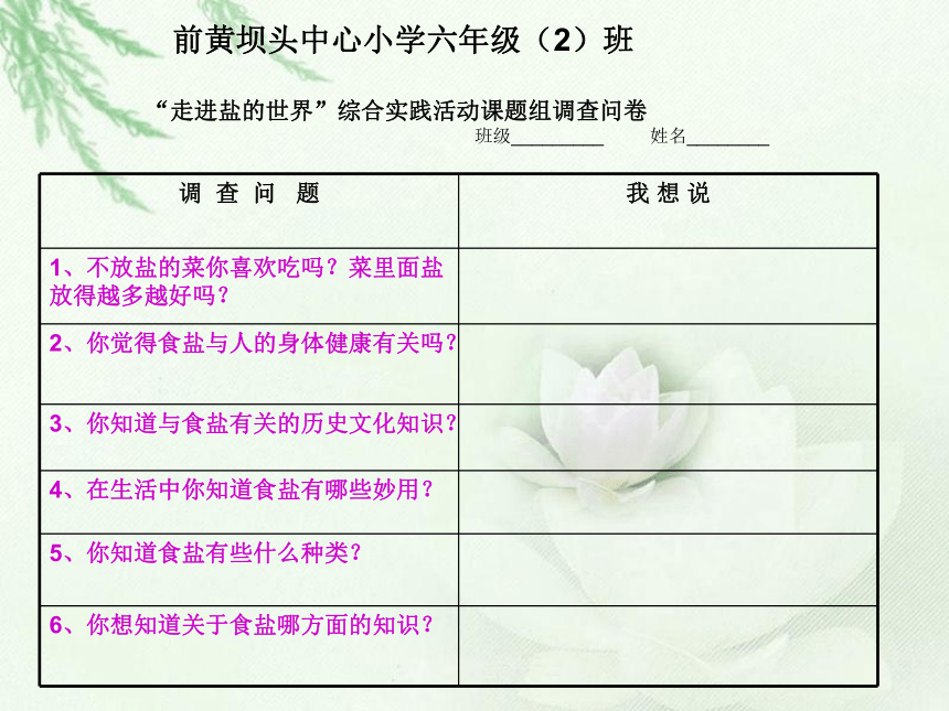 走进盐的世界 说课课件  综合实践活动五年级下册 教科版(共32张PPT)