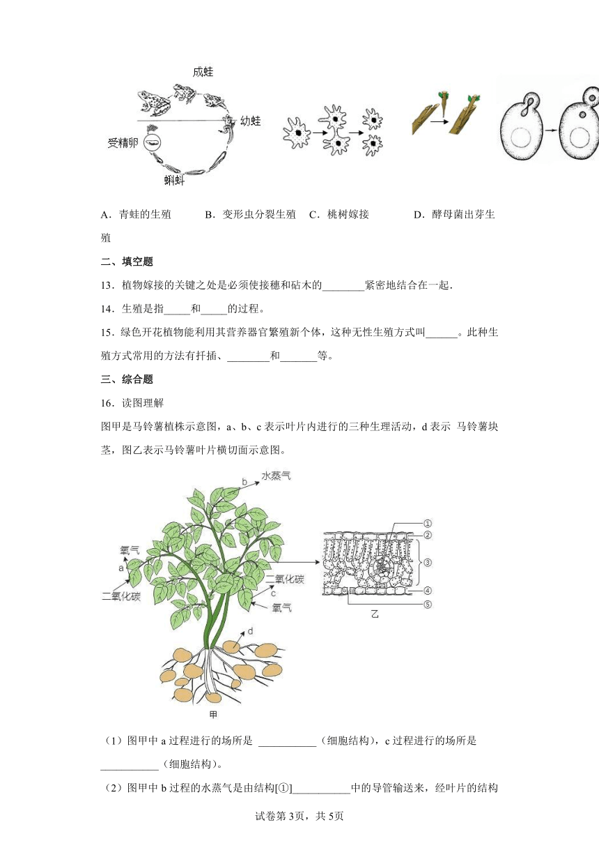 人教版八年级下册7.1.1植物的生殖同步练习（word版，含答案）