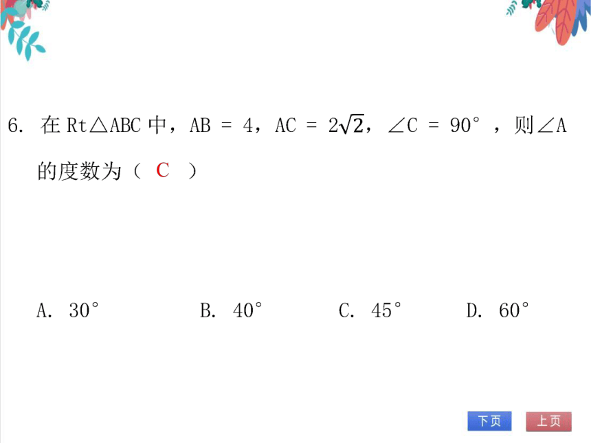 【北师大版】数学九（下）第1章 直角三角形的边角关系 期末复习学案 (课件版）