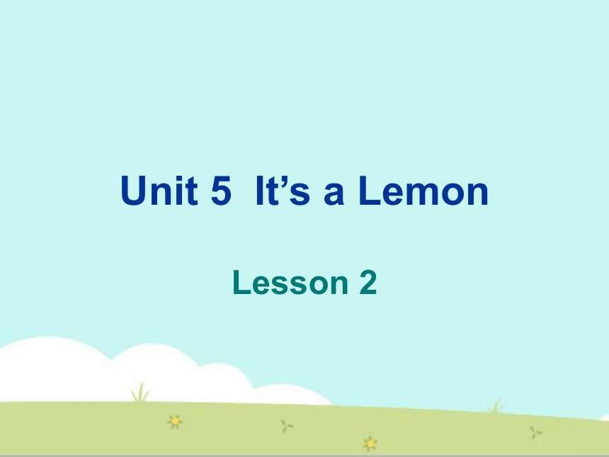 Unit 5 It’s a Lemon Lesson 2 课件(共23张PPT)
