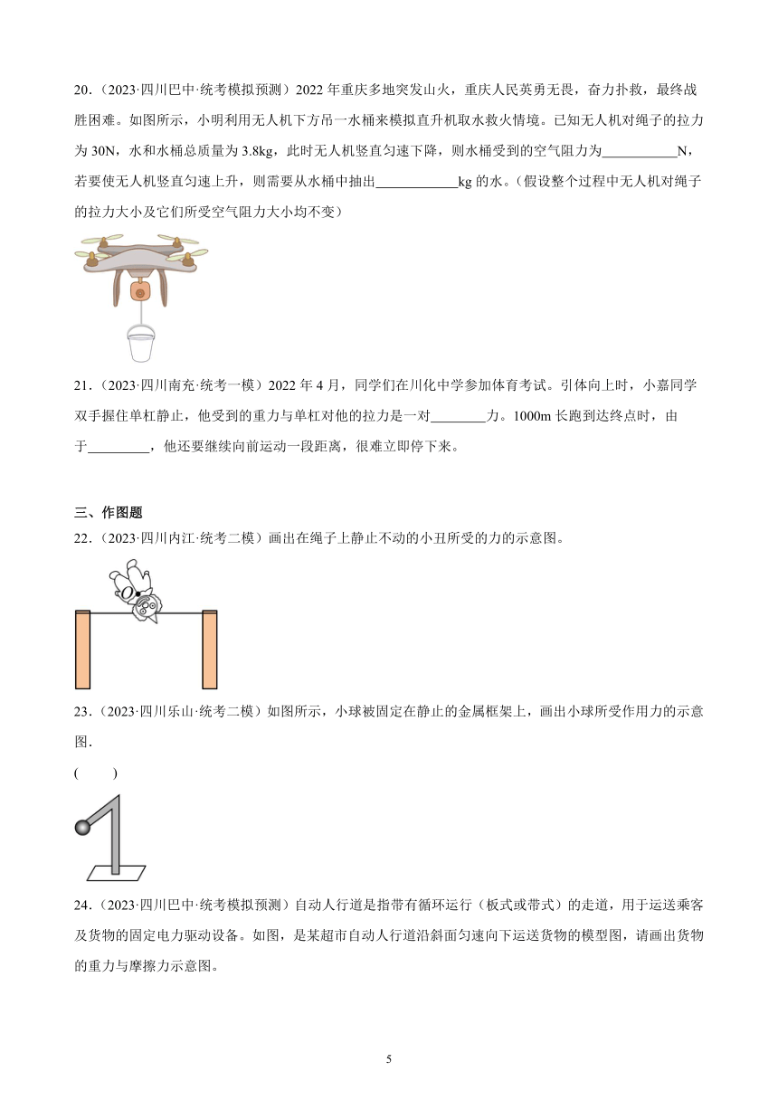 2023年四川省九年级物理中考模拟题分项选编：运动和力（含解析）