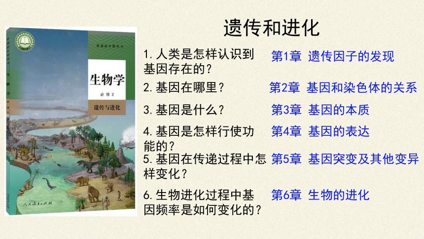 2020-2021学年高一下学期生物人教版必修二1.1孟德尔的豌豆杂交实验（一）课件