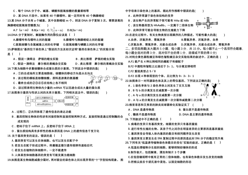 吉林省普通高中2022-2023学年高一下学期6月测试生物学试卷（PDF版含答案）