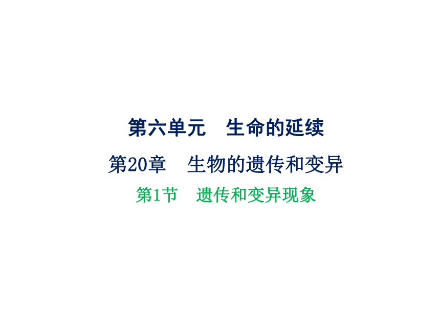 2021-2022学年度北师版八年级生物上册6.20.1 遗传和变异现象课(PPT.17张)