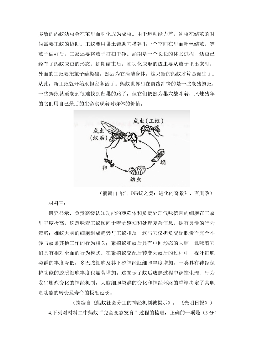 2023届四川省绵阳重点中学高三下学期5月高考仿真模拟预测语文试题（含答案）