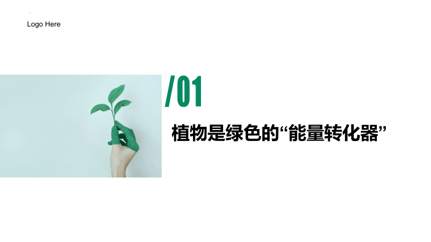 济南版2022-2023学年七年级上册生物2.1.5 绿色植物在生物圈中的作用优质课件(共22张PPT)