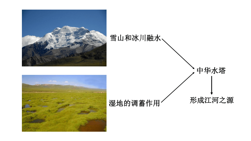 人教版地理八年级下册9.2 高原湿地──三江源地区  课件（15页ppt）