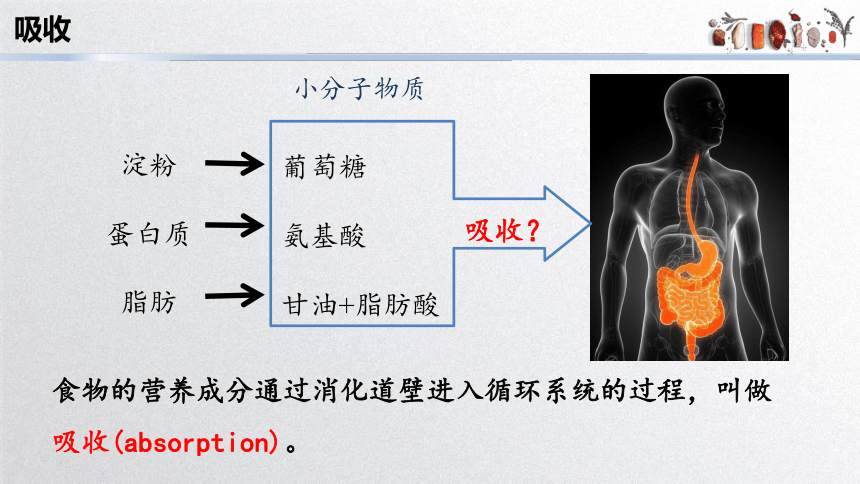 2.1.3营养物质的吸收和利用课件（(共26张PPT+内嵌视频1个)）2022-2023学年冀少版七年级生物下册