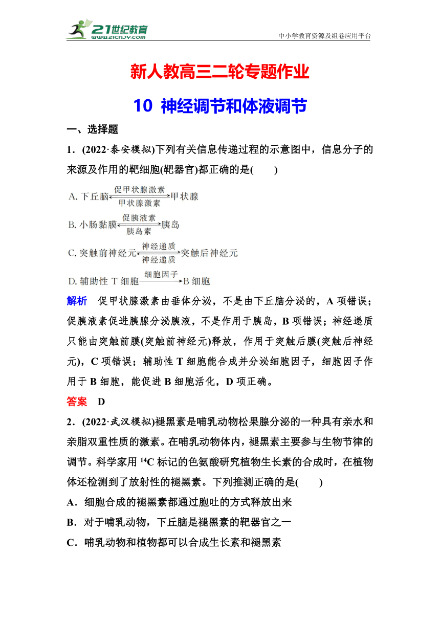 新人教高三二轮专题作业10 神经调节和体液调节（含解析）