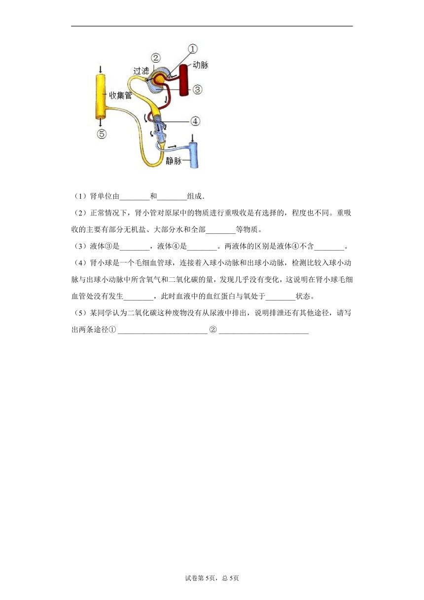 河北省石家庄市栾城区2020-2021学年七年级下学期期中生物试题（word版含解析）