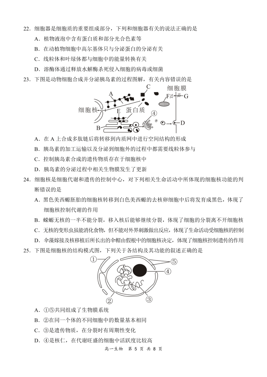 河南省郑州市部分学校2021-2022学年高一上学期11月期中考试生物试题（PDF版含答案带解析）