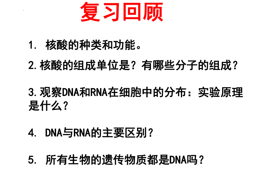 2.4细胞中的糖类和脂质 课件(共15张PPT) 2022-2023学年高一上学期生物人教版必修1