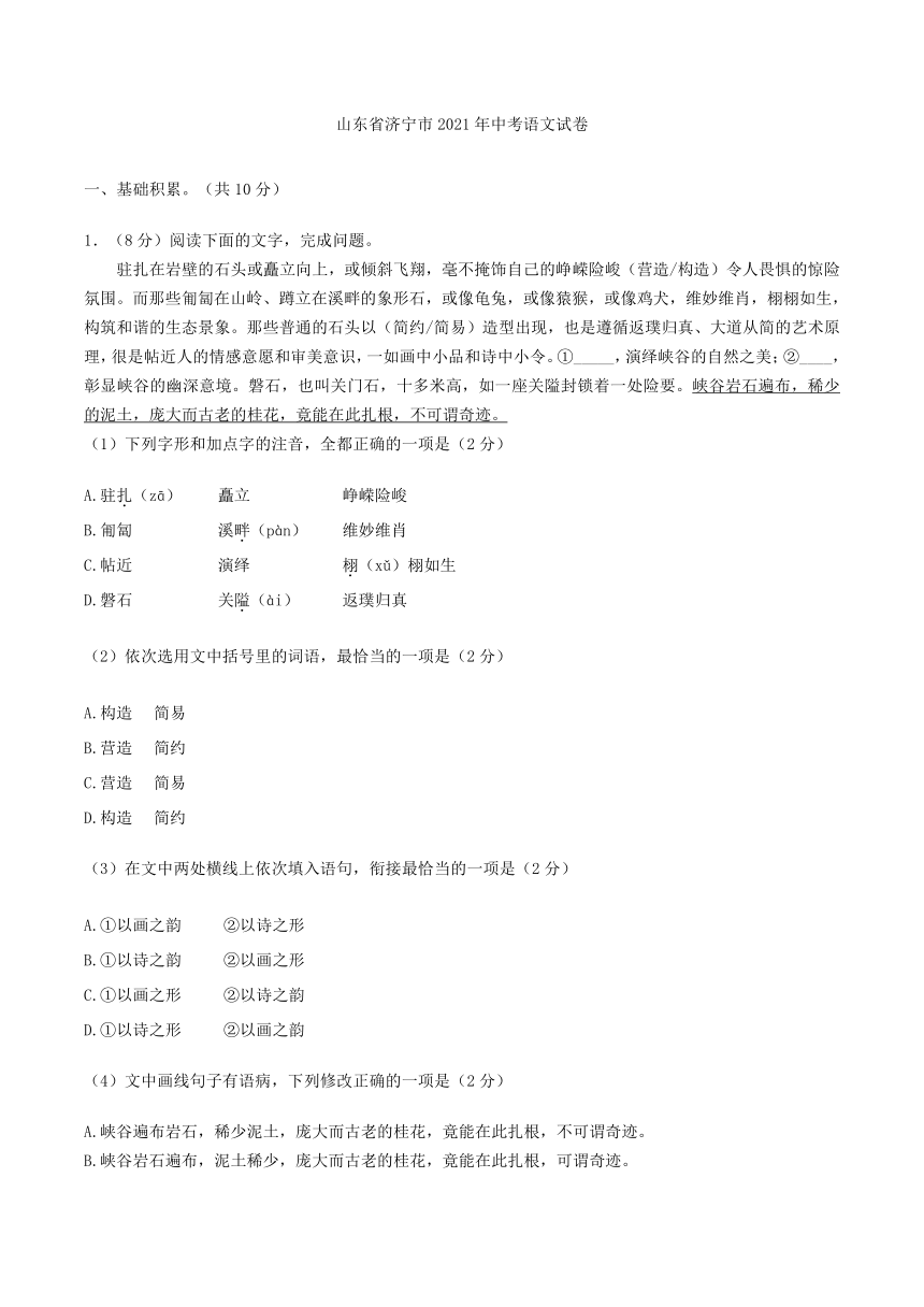 山东省济宁市2021年中考语文试卷(解析版）（Word版    含答案和解析）