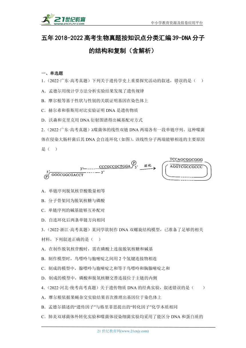 五年2018-2022高考生物真题按知识点分类汇编39-DNA分子的结构和复制（含解析）