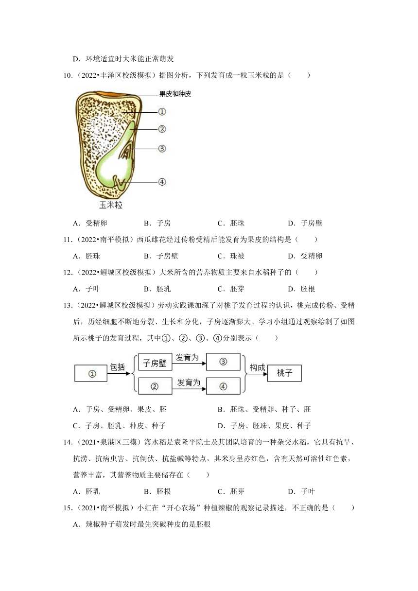 中考专题训练——3绿色植物——2023年福建省中考生物（含解析）