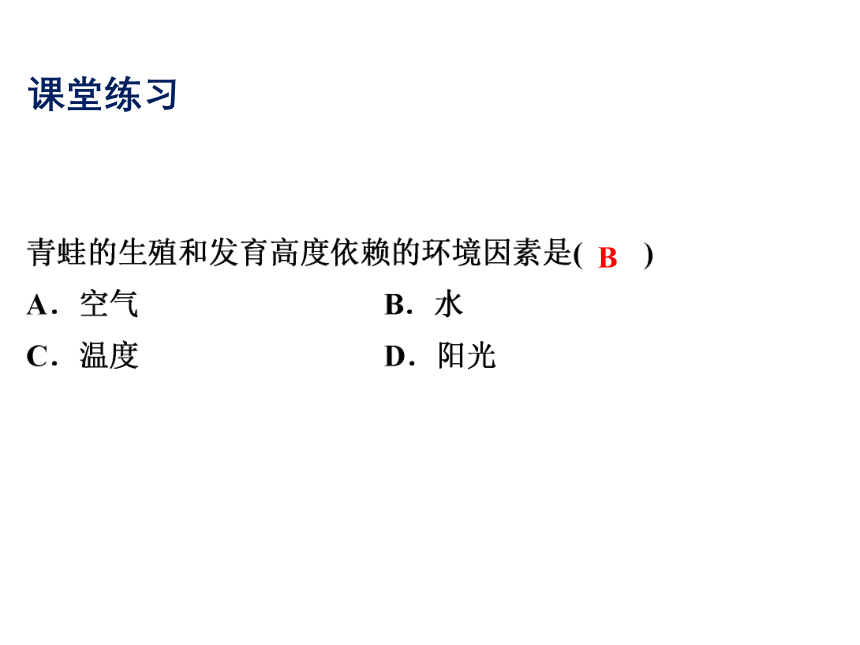 2021-2022学年度北师版八年级生物上册19.2 动物的生殖和发育课件(共31张PPT)