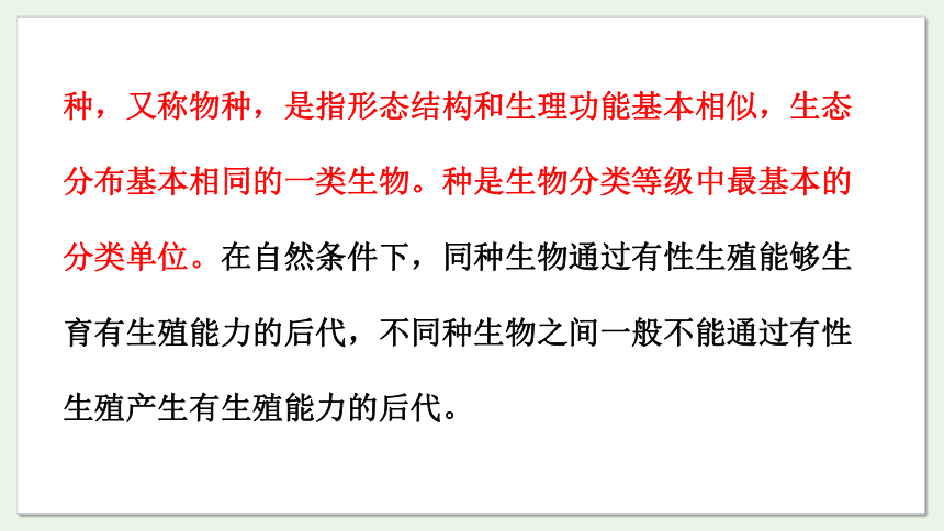 5.14.4 生物的分类课件(共19张PPT)2023-2024学年初中生物苏教版八年级上册