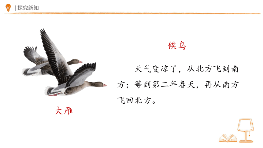 1 秋天 第二课时 课件(共20张PPT)