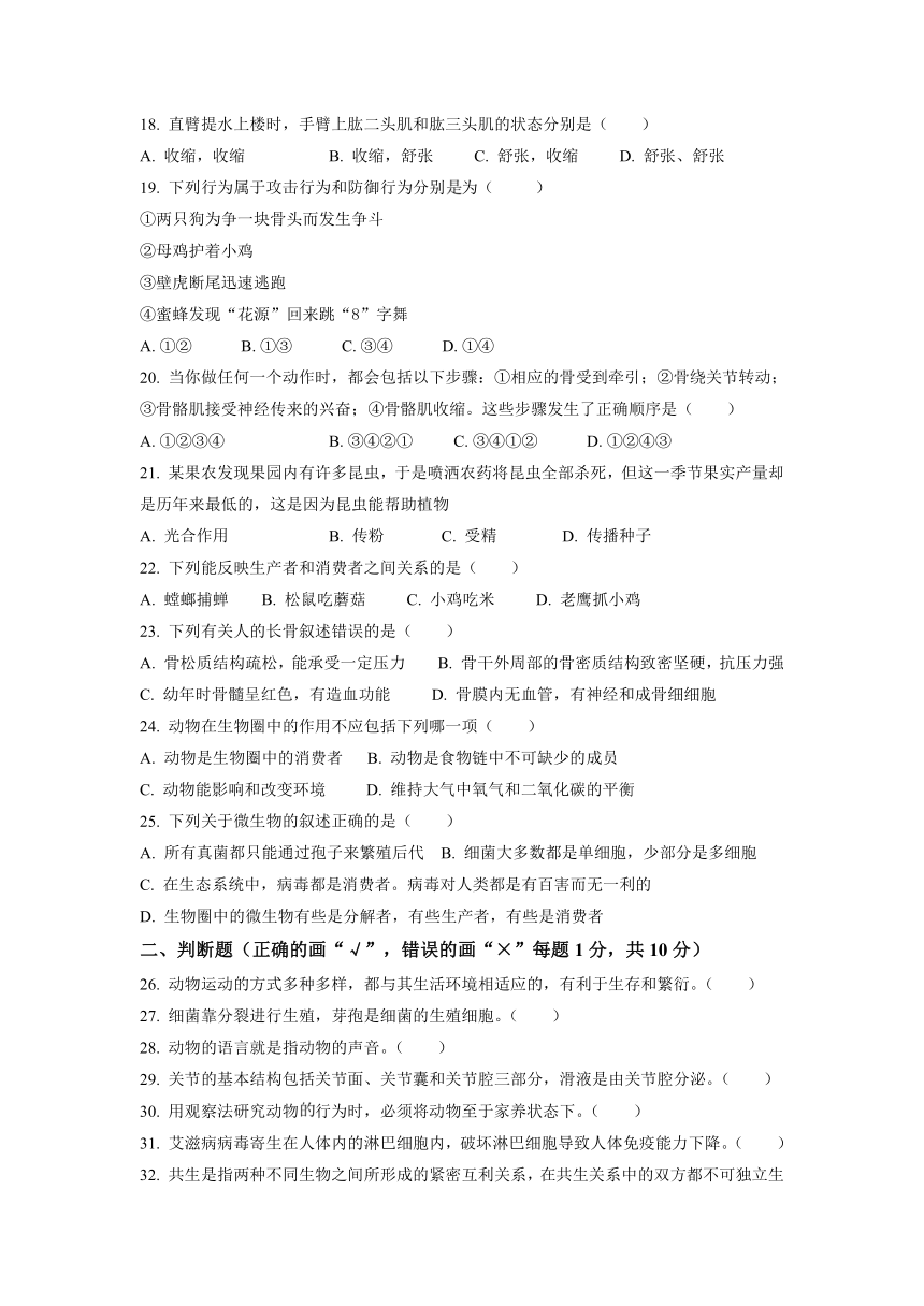 安徽省宿州市泗县2022-2023学年八年级上学期期中生物试题(word版含答案）