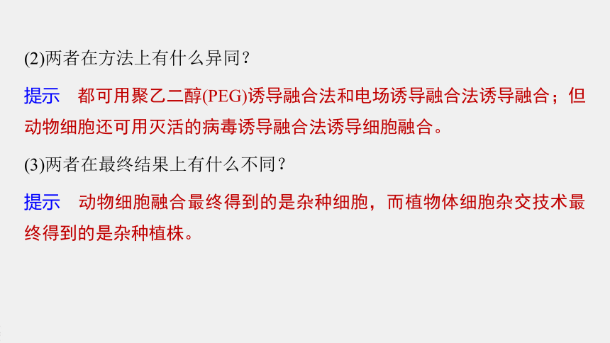 高中生物苏教版（2019）选择性必修3 生物技术与工程 第二章 第三节　第3课时　动物细胞融合技术及其应用（71张PPT）